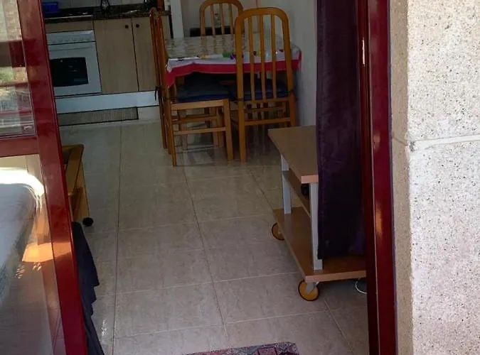 Service Lazaro - Coral - Vistas