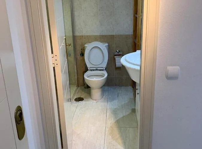 Service Lazaro - Coral - Vistas Calp