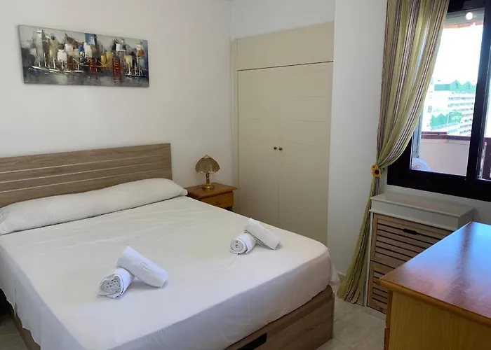 Service Lazaro - Coral - Vistas * Calp